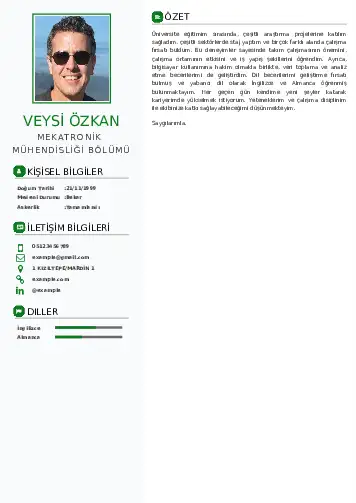 Mekatronik Mühendisliği Cv Örnekleri cv indir